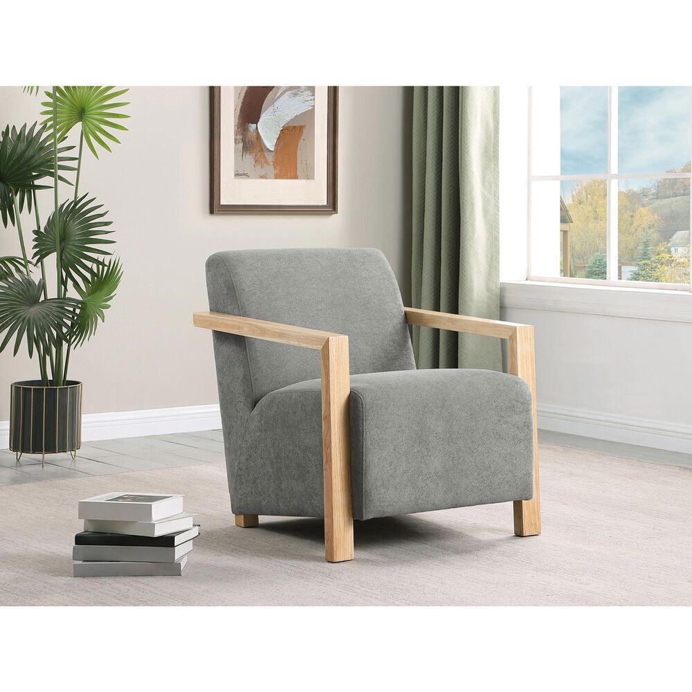 Coaster Diego Accent Arm Chair in Grey, , large