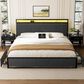 HOMLUX King 2-Drawer Storage Bed with LED Headboard and USB Ports in Gray, , large
