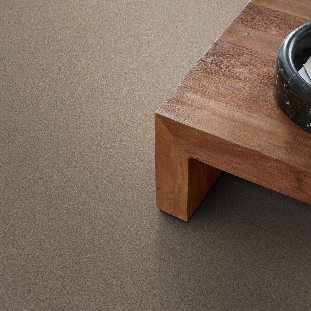 Anderson Tuftex Terra Nova Carpet in Canvas, , large