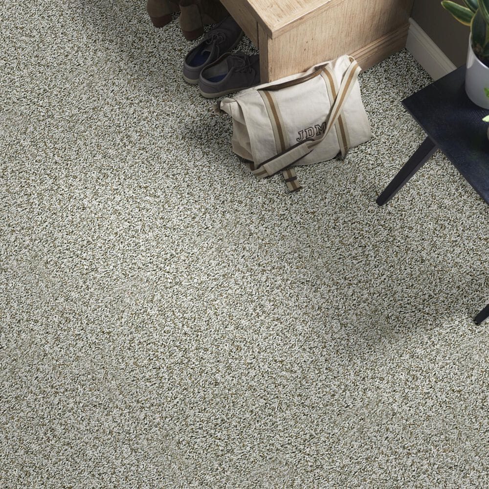 Shaw Break Away Tonal Carpet in Chrome, , large