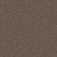 Shaw Yes You Can I Carpet in Mission Ridge, , large