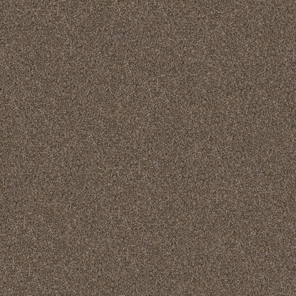 Shaw Yes You Can I Carpet in Mission Ridge, , large