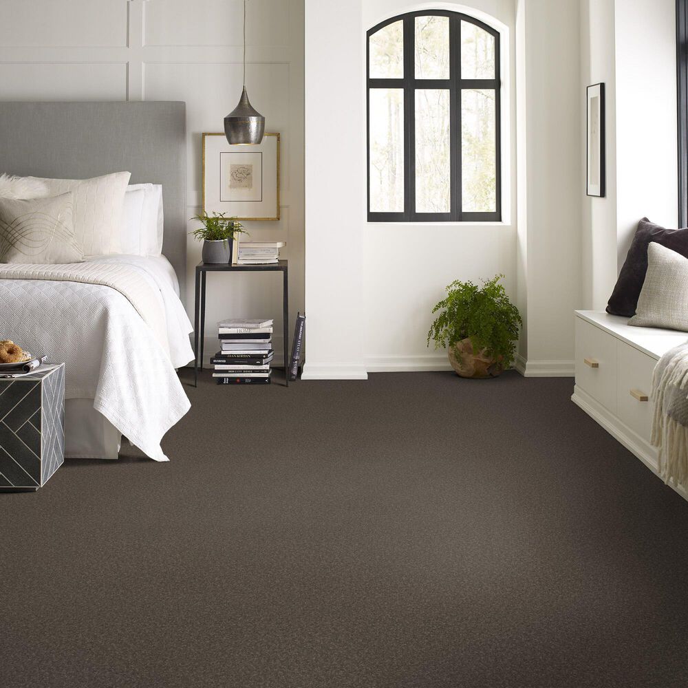 Shaw Hard At Play Iii Carpet in Urban Rustic, , large