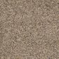 Dream Weaver Confetti I Carpet in Bisque, , large