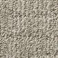 Anderson Tuftex Wanderer Carpet in Sage, , large