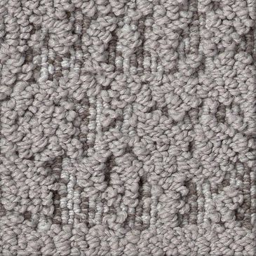 Anderson Tuftex Discover Carpet in Pewter, , large