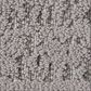 Anderson Tuftex Discover Carpet in Pewter, , large