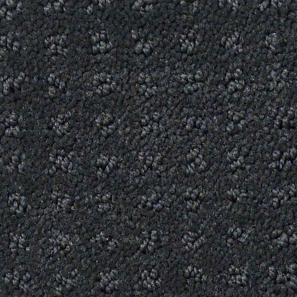 Shaw Detailed Elegance Patterned Carpet in Peaceful Garden, , large