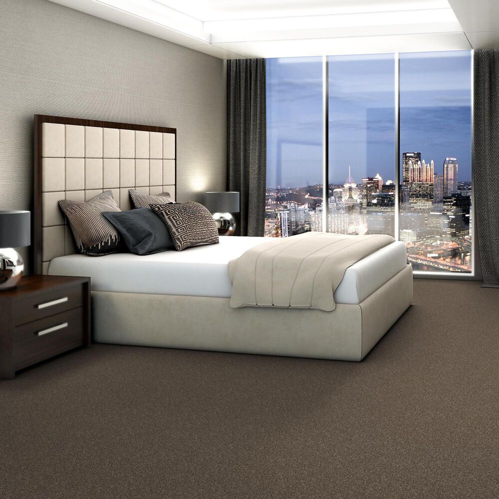 Shaw Yes You Can III Carpet in Mission Ridge, , large