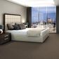 Shaw Yes You Can III Carpet in Mission Ridge, , large