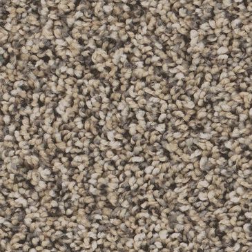 Shaw Bold Move Plus Carpet in Wet Sand, , large