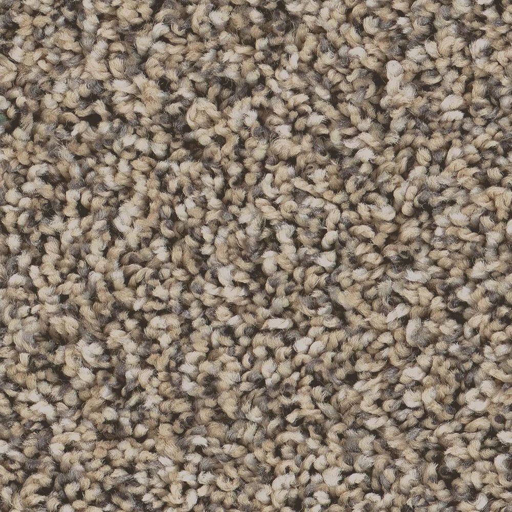 Philadelphia Bold Move Plus Carpet in Wet Sand, , large