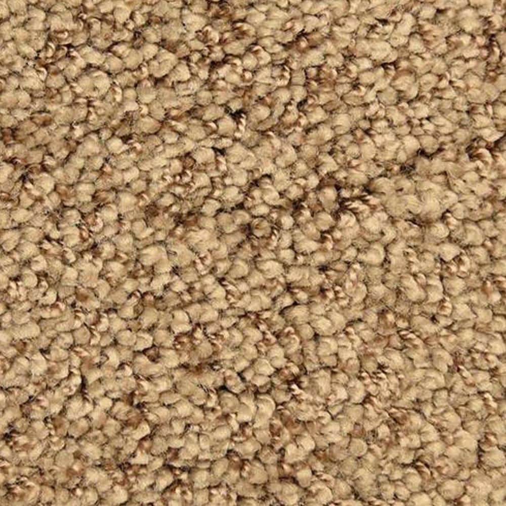 Masland Shangri La Too Carpet in Zion NFM