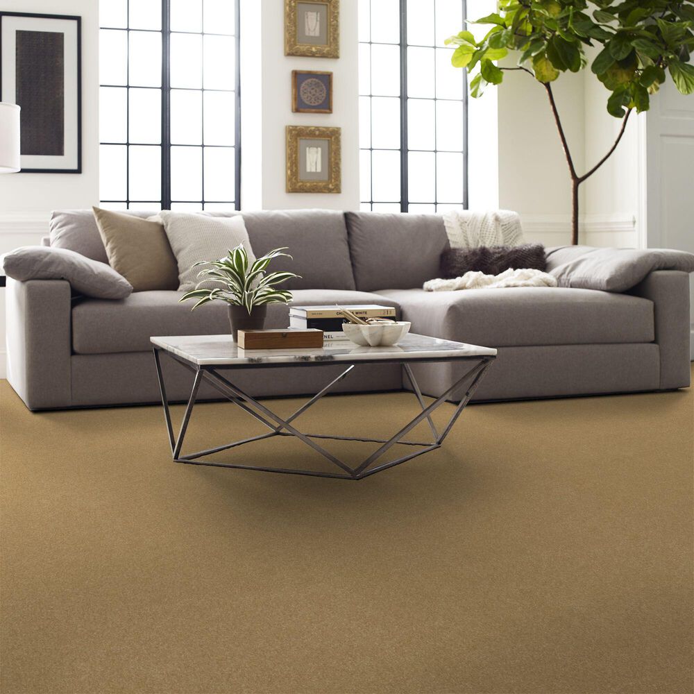 Shaw Hard At Play I Carpet in Honeycomb, , large
