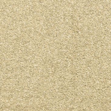 Dixie Home Debut Carpet in Touch of Grey, , large