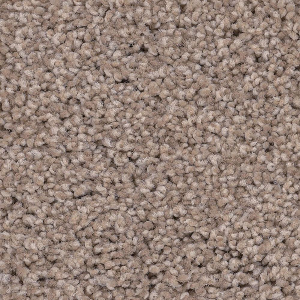 Anderson Tuftex Caress Cozy Harbor I Carpet in Natural Beauty, , large