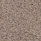 Anderson Tuftex Caress Cozy Harbor I Carpet in Natural Beauty, , large