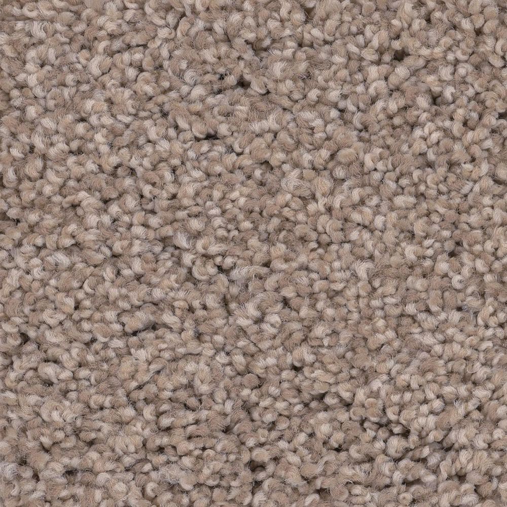 Anderson Tuftex Caress Cozy Harbor I Carpet in Natural Beauty, , large