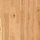 Shaw Argonne Forest Coat Of Arms Hickory Hardwood, , large