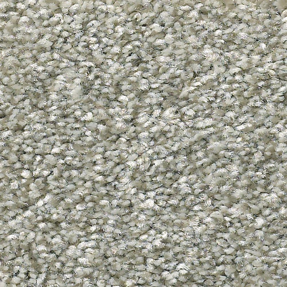 Shaw Simply the Best Attainable Carpet in Clay, , large