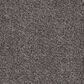 Lexmark Carpet Mills Inman Park Carpet in Prairie, , large