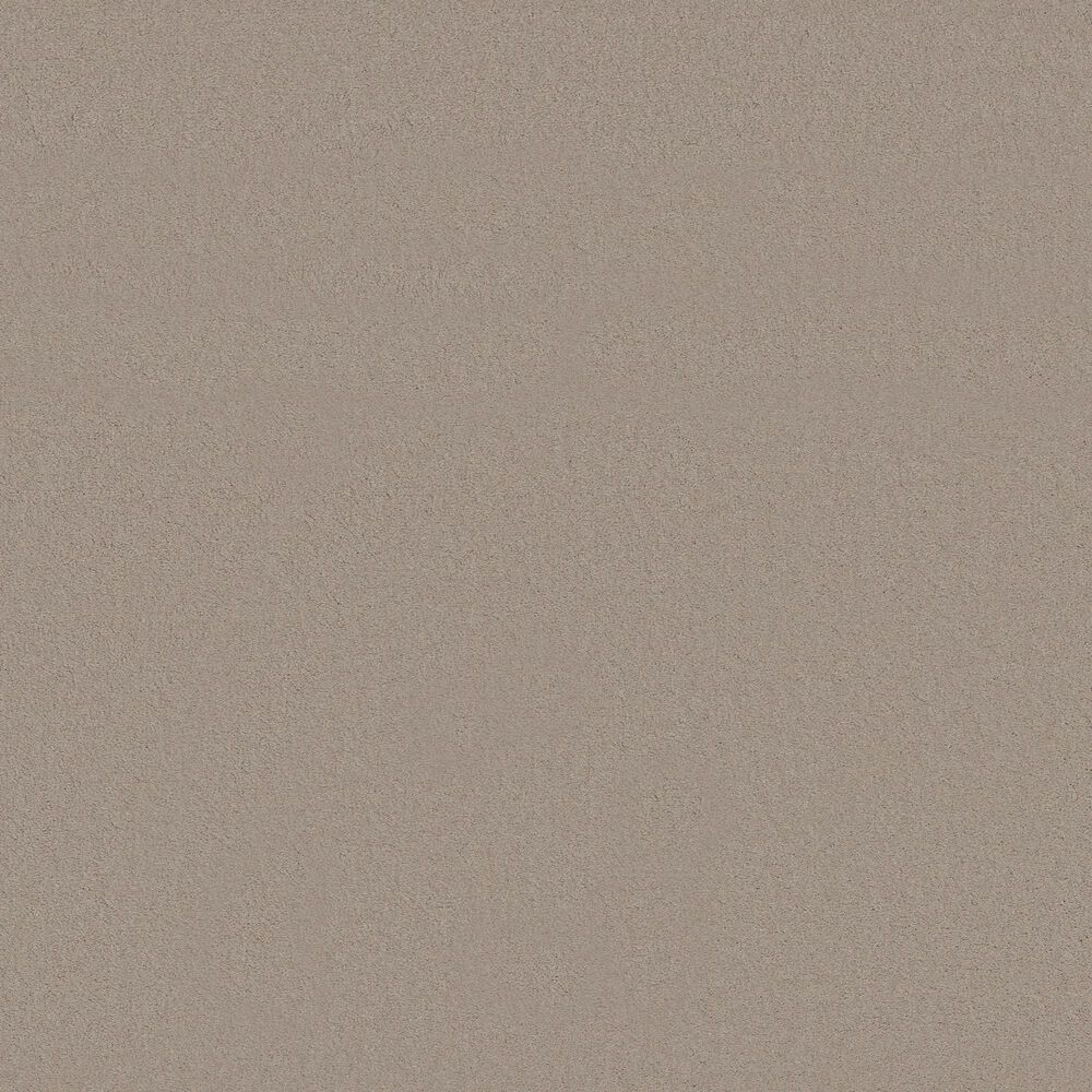 Anderson Tuftex Finery Carpet in Putty, , large