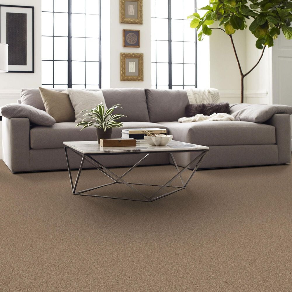 Shaw New Memories S Carpet in Sierra, , large