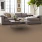 Shaw New Memories S Carpet in Sierra, , large