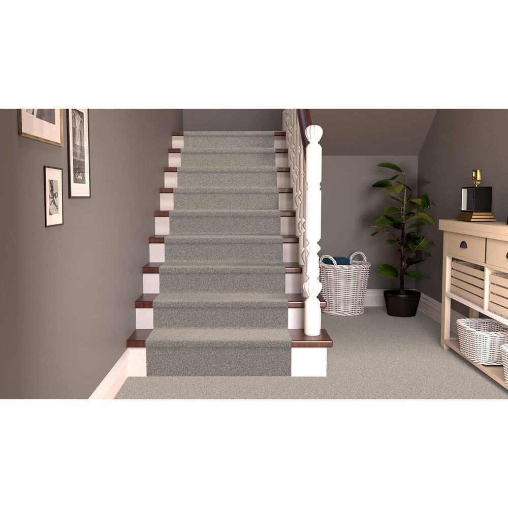 Dixie Home Bella Carpet in Yorkie, , large