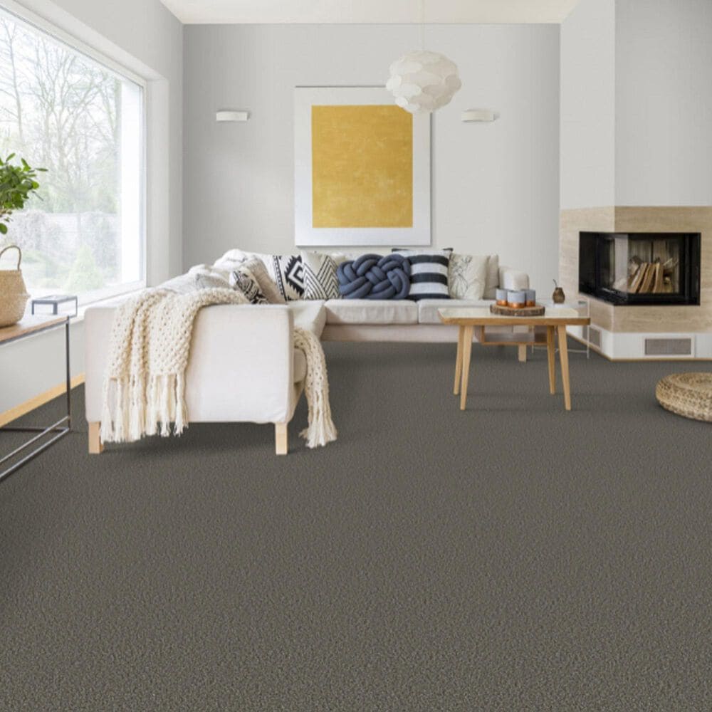 Dixie Home Main Force Carpet in Slate, , large