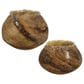 Uttermost Tortoise Vase in Brown (Set of 2), , large