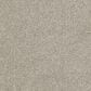 Dream Weaver Hollywood Carpet in Orion, , large