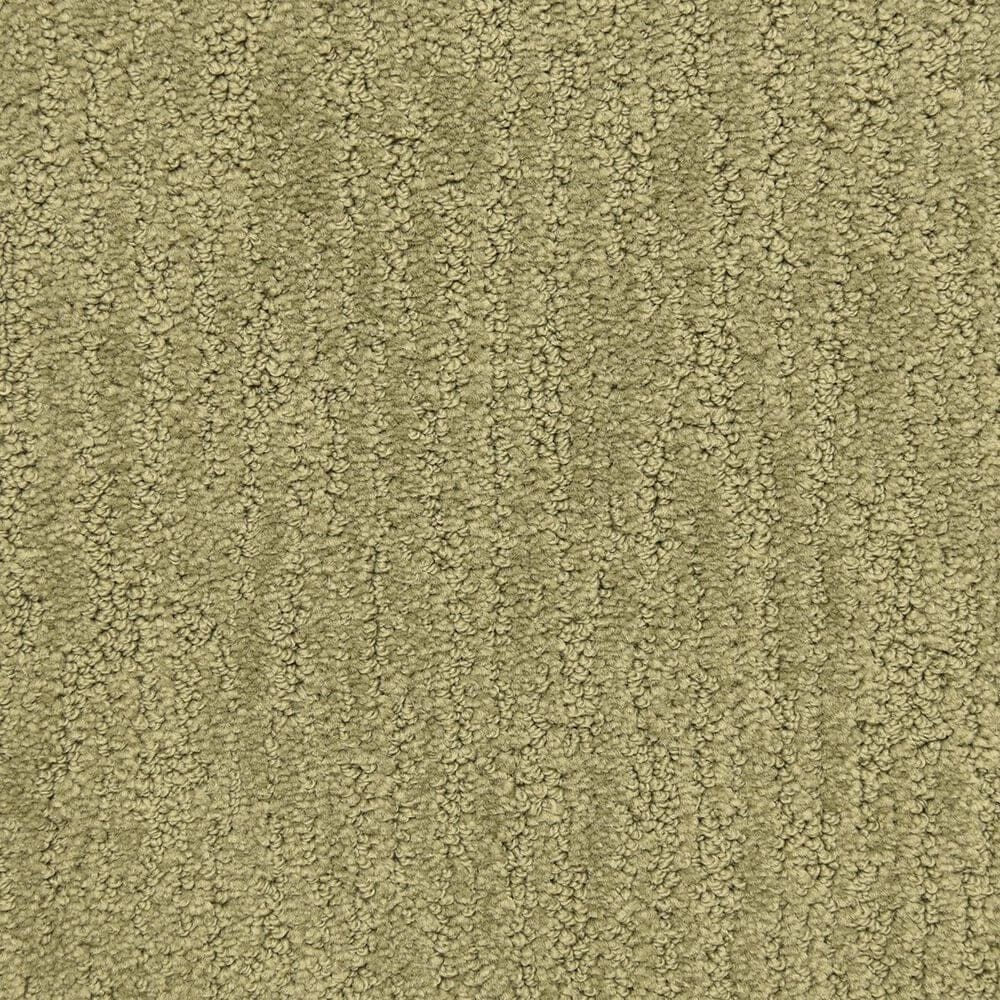 Dixie Home Legacy Carpet in Bayleaf, , large