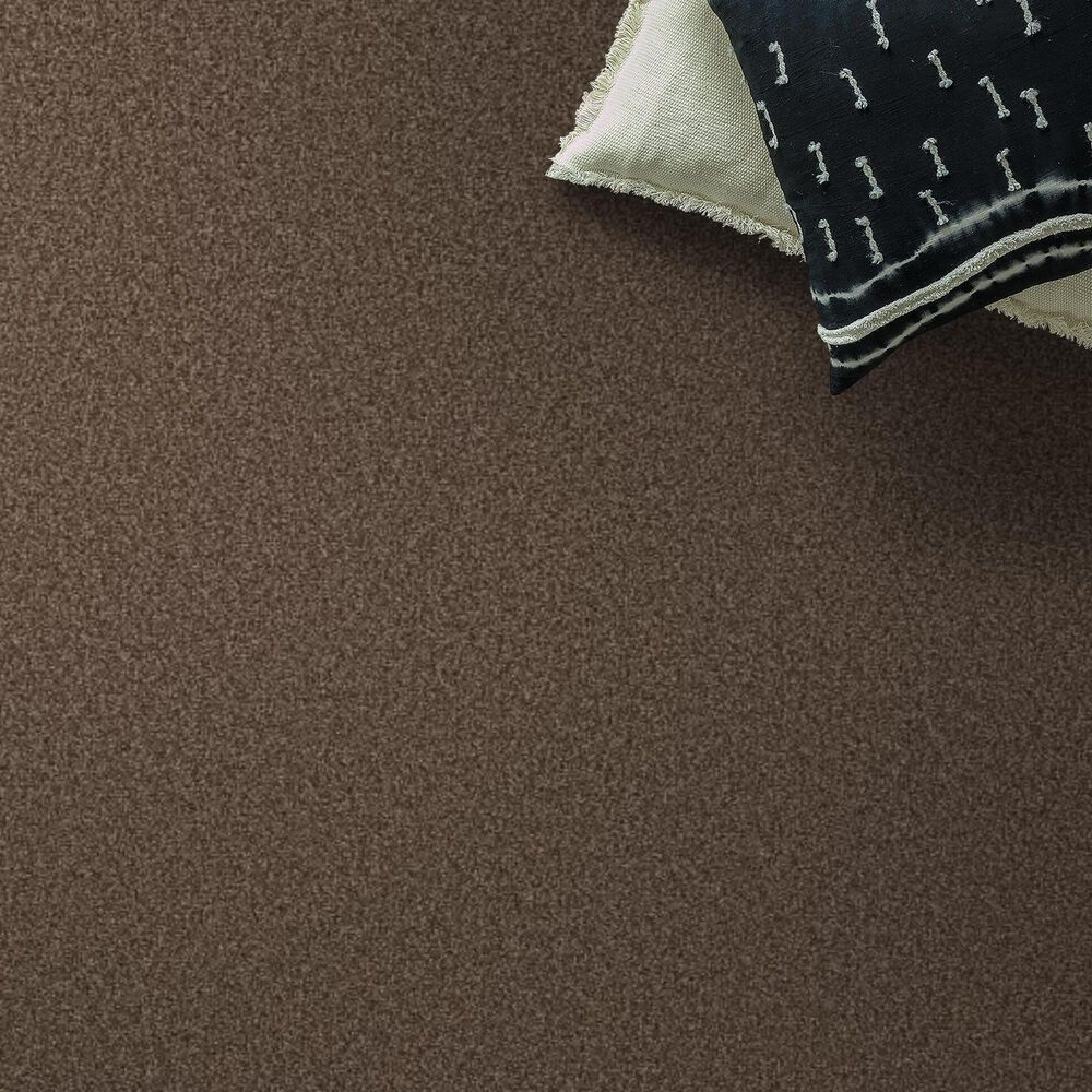 Shaw Tonal Comfort I Carpet in Cliff Hiking, , large