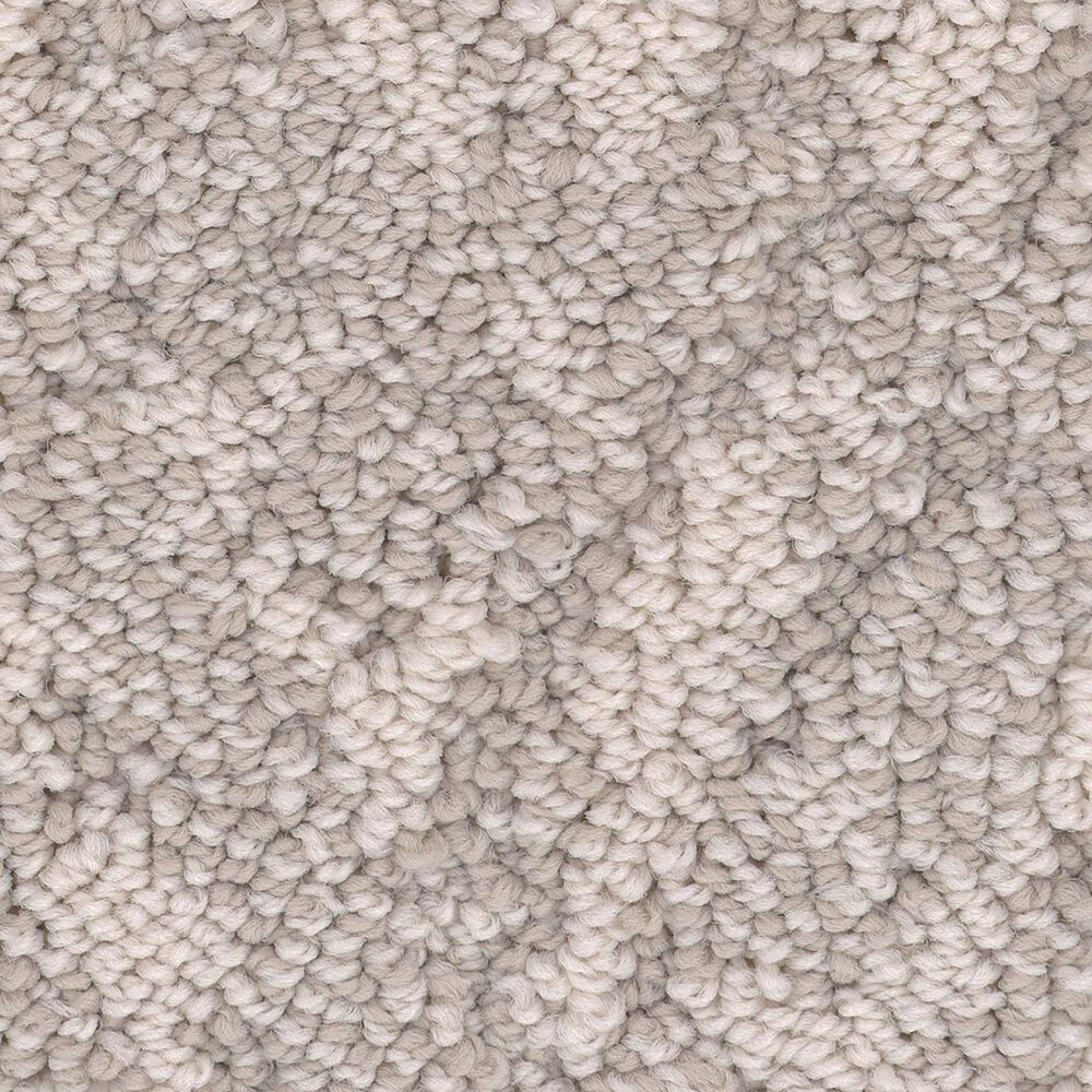 Anderson Tuftex Lavish Living Carpet in Sandstone, , large