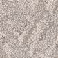 Anderson Tuftex Lavish Living Carpet in Sandstone, , large