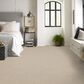Anderson Tuftex Obscura Carpet in Sunbleach, , large