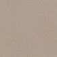 Shaw Tonal Comfort Ii Carpet in My Haven, , large