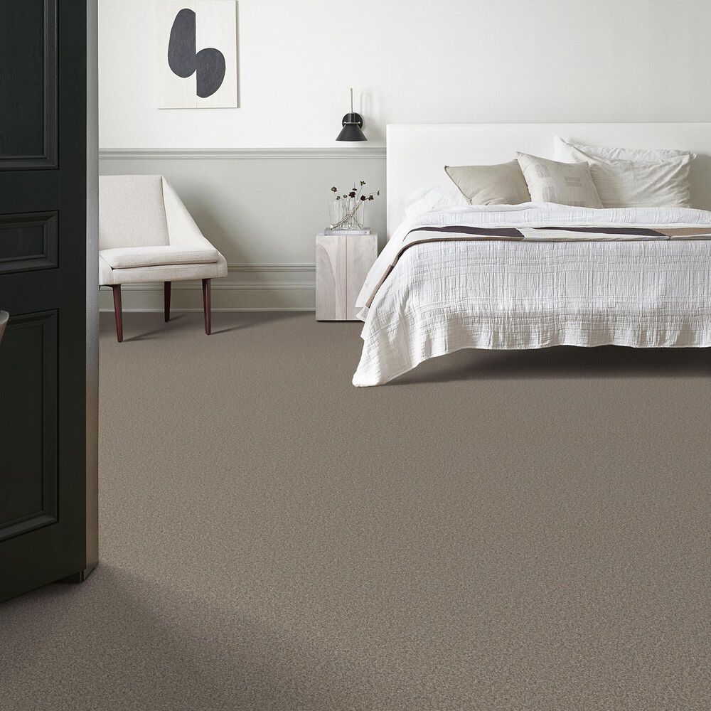 Shaw Tweed Comfort I Carpet in Stroke of Luck, , large