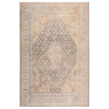 Dalyn Rug Company Kars 10" x 13" Biscotti Area Rug, , large