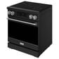 Thor Kitchen Gordon Ramsay 4.8 Cu. Ft. Professional Induction Range with Stainless Steel Handle Kit in Black, , large