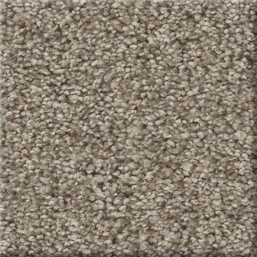 Shaw Comforting II Carpet in Boardwalk, , large