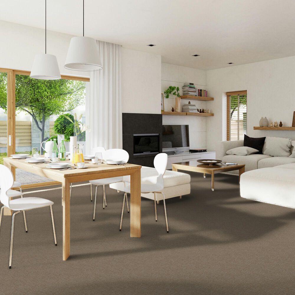 Dream Weaver Classic Elements Carpet in Kingsport, , large