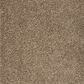 Mohawk Pleasant Touch Carpet in Woodland, , large