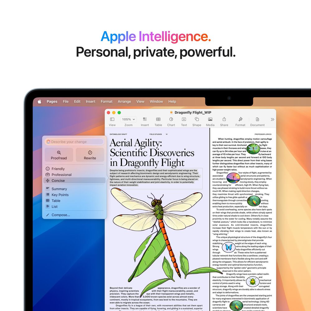 Apple MacBook Air 13-inch Laptop M4 chip - 10 Core CPU - 8 Core GPU - 16GB Memory - 256GB SSD - Sky Blue &#40;Latest Model&#41;, , large