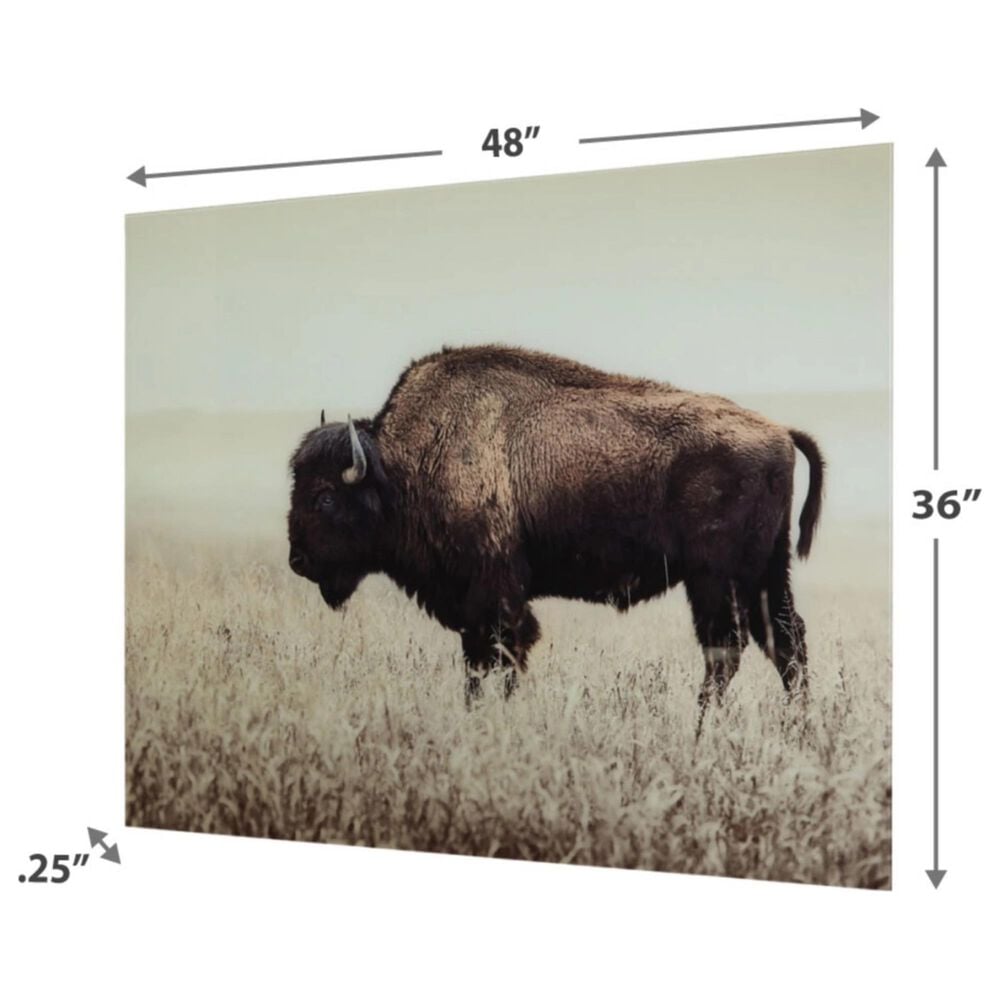 Ashley Brutus 36&quot; x 48&quot; The Bison Wall Art in Sepia, , large