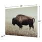 Ashley Brutus 36" x 48" The Bison Wall Art in Sepia, , large