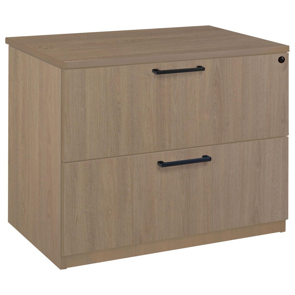 Regency Global Sourcing Legacy 2-Drawer Lateral File in Noble Oak, , large