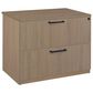Regency Global Sourcing Legacy 2-Drawer Lateral File in Noble Oak, , large