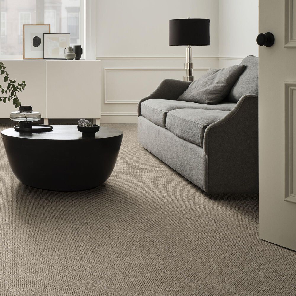 Anderson Tuftex Mera Carpet in Pavestone, , large